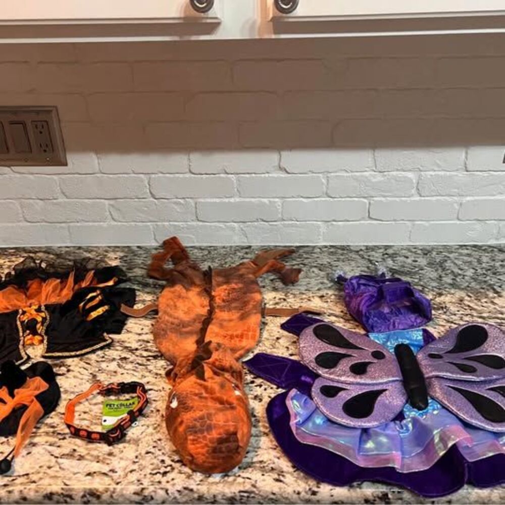 🐶🎃 SMALL DOG HALLOWEEN COSTUME BUNDLE – 3 COSTUMES + NEW COLLAR 🎃🐶